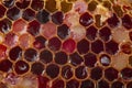 red honey and honeycomb, macro