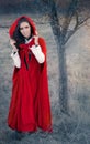 Red Hooded Woman Fairytale Portrait Royalty Free Stock Photo