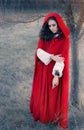 Red Hooded Woman Fairytale Portrait Royalty Free Stock Photo