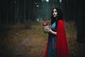 Red Hooded Woman Holding Apple Fairytale Portrait - Fairytale image of a beautiful  girl wearing a red hood near the forest Royalty Free Stock Photo