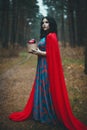 Red Hooded Woman Holding Apple Fairytale Portrait - Fairytale image of a beautiful  girl wearing a red hood near the forest Royalty Free Stock Photo