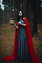 Red Hooded Woman Holding Apple Fairytale Portrait - Fairytale image of a beautiful  girl wearing a red hood near the forest Royalty Free Stock Photo