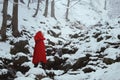 Red hooded woman in a snowy forest