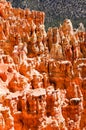 Red hoodoos, Ponderosa Point, Bryce Canyon