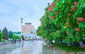 The red horse-chestnut bloom in Maidan Nezalezhnosti square, on May 18 in Kyiv, Ukraine