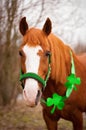 A red horse with a green bridle and clover leaves around its neck. A symbol of St. Patrick`s day Royalty Free Stock Photo