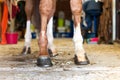 Red horse hoof standing in stable