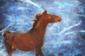 Red horse with long mane Royalty Free Stock Photo