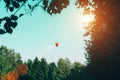 Red hot air balloon in the shape of a heart against the blue sky. Royalty Free Stock Photo