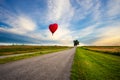 Red hot air balloon in the shape of a heart over cosmos flower Royalty Free Stock Photo