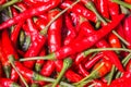 Red hot bird chili pepper nature background