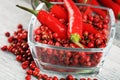 Red hot bird chili pepper with pepper corns Royalty Free Stock Photo