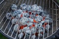 Red hot burning charcoal preparing for grilling,barbecue grill Royalty Free Stock Photo