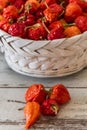 Red Hot Cherry Peppers Royalty Free Stock Photo