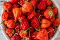 Red Hot Cherry Peppers Royalty Free Stock Photo