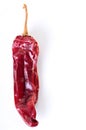 Red Hot Chile Pepper on White Royalty Free Stock Photo