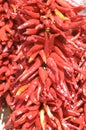 Red hot chile peppers