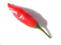 Red hot chili close up