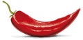 Red Hot Chili Royalty Free Stock Photo