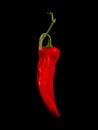 Red hot chili pepper