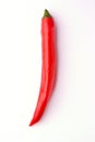 Red hot chili pepper Royalty Free Stock Photo