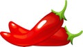 Red Hot Chili Pepper Royalty Free Stock Photo