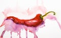 Red hot chili pepper Royalty Free Stock Photo