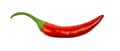 Red hot chili pepper Royalty Free Stock Photo