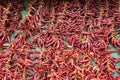 Red hot chili pepper background. Popular kind of spice. Dry peppers on old rustic wooden table. Texture food background. Royalty Free Stock Photo