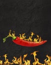 Red hot chili pepper on black background with flame, illustration