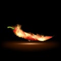 Red hot chili pepper on fire. Traditional cooking spices.