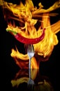 Red hot chili pepper on fork over black background. Red hot chili peppers on a silver vintage fork on a background of fire. High Royalty Free Stock Photo