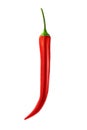 Red hot chili pepper isolated white background Royalty Free Stock Photo