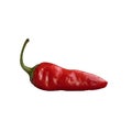 Red Hot Chili Pepper isolated on white background Royalty Free Stock Photo