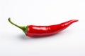 Red hot chili pepper isolated on white background Royalty Free Stock Photo