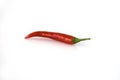 Red hot chili pepper isolated on the white background. Selective focus. Royalty Free Stock Photo