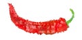 Red hot chili pepper low poly isolated on a white background, illustration