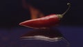 Red hot chili pepper lying on glass surface with burning fire on the background. Stock footage. Concept of spicy asian Royalty Free Stock Photo