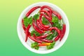 Red hot chili pepper and parsley in a dish with water. Top view, yellow-green gradient background Royalty Free Stock Photo
