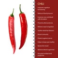 Red hot chili pepper pod realistic image vector illustration Royalty Free Stock Photo