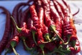 Red hot chili pepper pods close-up