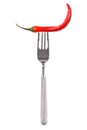 Red hot chili pepper pricked on the steel fork