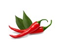 Red hot chili pepper realistic image vector illustration.