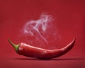 Red hot chili pepper on red background with smoke. Still life with steam mexican paprika Royalty Free Stock Photo