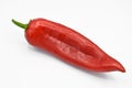 Red hot chili pepper. Very fresh and bright. Royalty Free Stock Photo