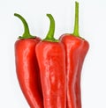 Red hot chili pepper. Very fresh and bright. Royalty Free Stock Photo