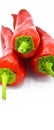 Red hot chili pepper. Very fresh and bright. Royalty Free Stock Photo