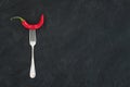 Red hot chili pepper on vintage silver fork over black slate stone background, top view. Royalty Free Stock Photo