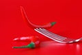 Red hot chili pepper on vintage silver fork over red background Royalty Free Stock Photo