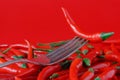 Red hot chili pepper on vintage silver fork over red background Royalty Free Stock Photo